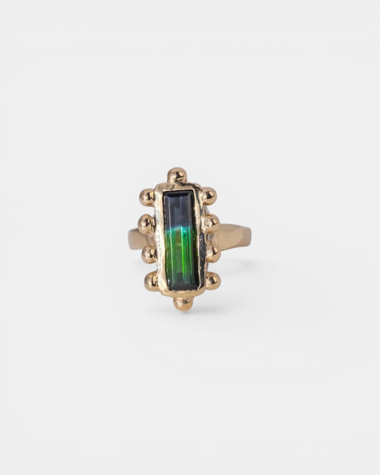 Multiplicity Ring