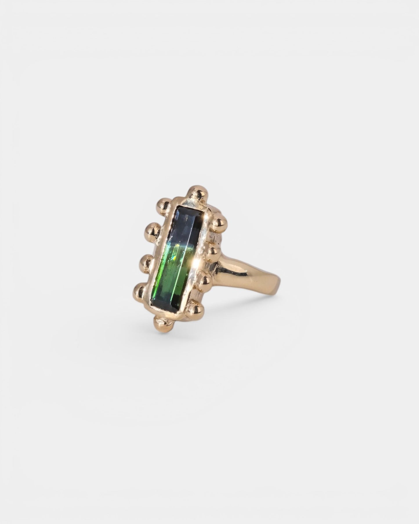 Multiplicity Ring