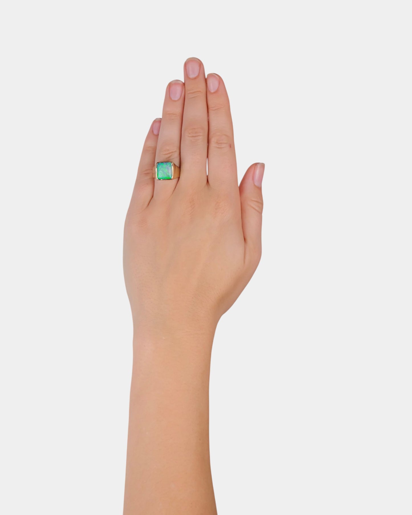Flashback Signet Ring